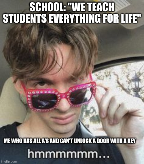 School Vs Common Sense | SCHOOL: "WE TEACH STUDENTS EVERYTHING FOR LIFE"; ME WHO HAS ALL A'S AND CAN'T UNLOCK A DOOR WITH A KEY | image tagged in flamingo hmmm,flamingo,school | made w/ Imgflip meme maker