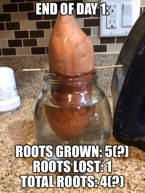 END OF DAY 1:; ROOTS GROWN: 5(?)
ROOTS LOST: 1
TOTAL ROOTS: 4(?) | made w/ Imgflip meme maker