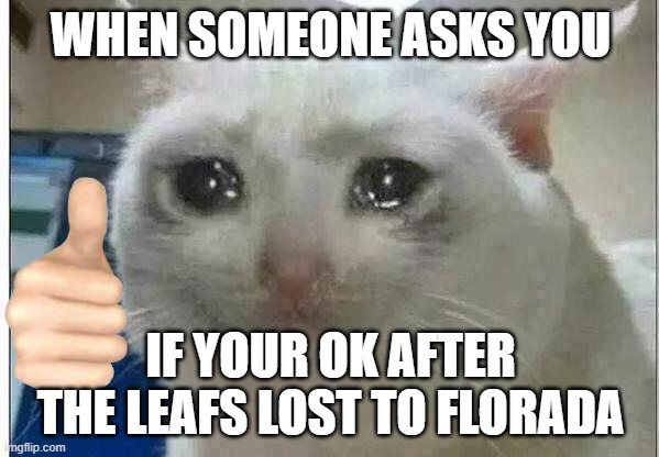 crying cat | WHEN SOMEONE ASKS YOU; IF YOUR OK AFTER THE LEAFS LOST TO FLORADA | image tagged in crying cat | made w/ Imgflip meme maker