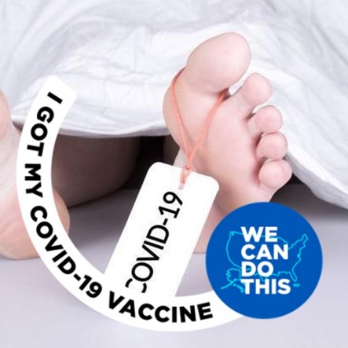 Another Facebook Lemming Bites the Dust | image tagged in facebook lemmings,lemmings,covidiots,sheeple,stupid sheep,the ministry of truth | made w/ Imgflip meme maker