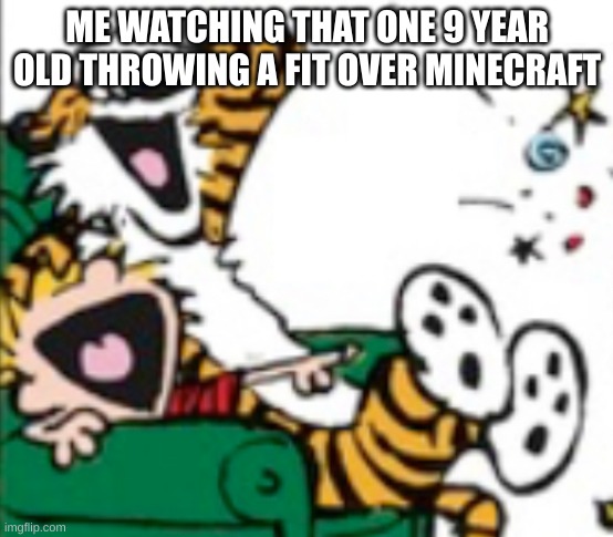 Literally everyone on minecraft... | ME WATCHING THAT ONE 9 YEAR OLD THROWING A FIT OVER MINECRAFT | image tagged in calvin and hobbes laugh | made w/ Imgflip meme maker