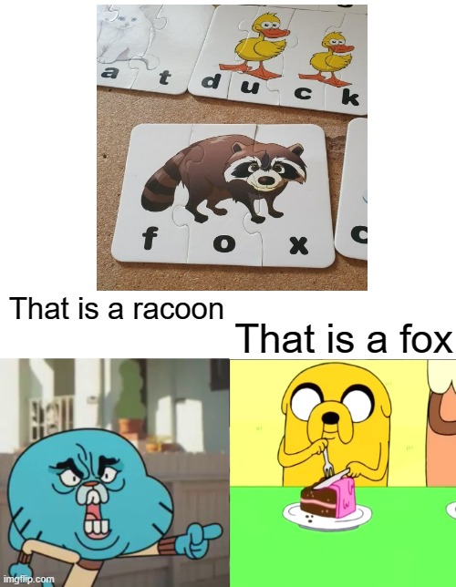 That is a racoon | That is a racoon; That is a fox | image tagged in gumball yelling at finn the dog,the amazing world of gumball,you had one job | made w/ Imgflip meme maker