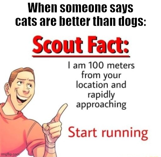 C*t Gi*l |  When someone says cats are better than dogs: | image tagged in scout fact | made w/ Imgflip meme maker
