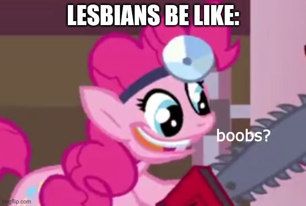 hehe haha | LESBIANS BE LIKE: | image tagged in boobs | made w/ Imgflip meme maker