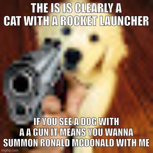 Dog gun | THE IS IS CLEARLY A CAT WITH A ROCKET LAUNCHER; IF YOU SEE A DOG WITH A A GUN IT MEANS YOU WANNA SUMMON RONALD MCDONALD WITH ME | image tagged in dog gun | made w/ Imgflip meme maker