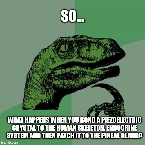 Philosoraptor Meme | SO... WHAT HAPPENS WHEN YOU BOND A PIEZOELECTRIC CRYSTAL TO THE HUMAN SKELETON, ENDOCRINE SYSTEM AND THEN PATCH IT TO THE PINEAL GLAND? | image tagged in memes,philosoraptor | made w/ Imgflip meme maker