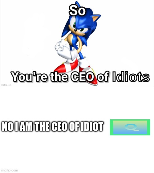 i am the CEO of idiot | Idiots; NO I AM THE CEO OF IDIOT | image tagged in so you're the ceo of | made w/ Imgflip meme maker
