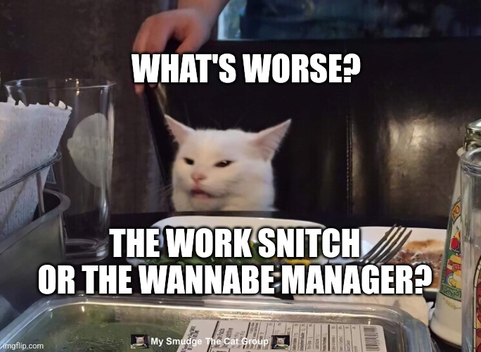 WHAT'S WORSE? THE WORK SNITCH OR THE WANNABE MANAGER? | image tagged in smudge the cat | made w/ Imgflip meme maker