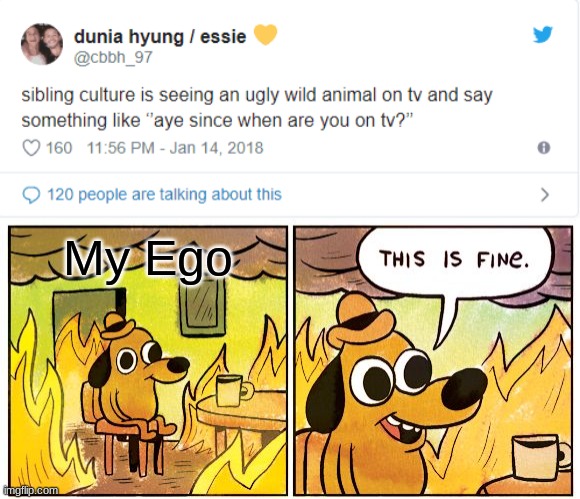 Bro me and my brother do this all the time | My Ego | image tagged in memes,this is fine,funny | made w/ Imgflip meme maker