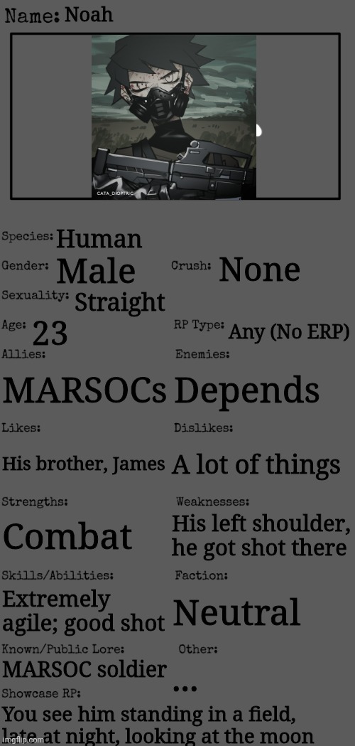 New OC showcase for RP stream |  Noah; Human; None; Male; Straight; 23; Any (No ERP); MARSOCs; Depends; A lot of things; His brother, James; Combat; His left shoulder, he got shot there; Extremely agile; good shot; Neutral; MARSOC soldier; ... You see him standing in a field, late at night, looking at the moon | image tagged in new oc showcase for rp stream | made w/ Imgflip meme maker