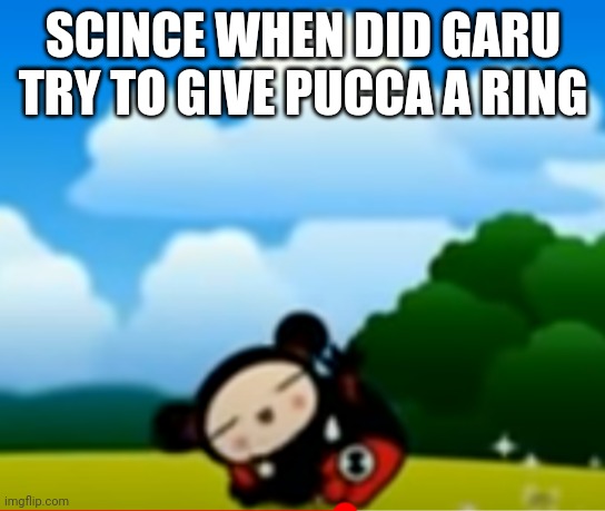 SCINCE WHEN DID GARU TRY TO GIVE PUCCA A RING | made w/ Imgflip meme maker