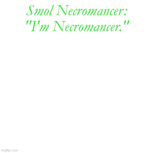 Blank Transparent Square Meme | Smol Necromancer: "I'm Necromancer." | image tagged in memes,blank transparent square | made w/ Imgflip meme maker