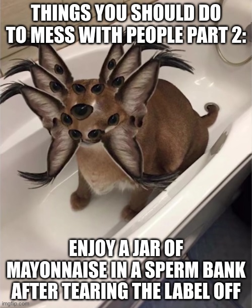 Biblically Accurate Floppa | THINGS YOU SHOULD DO TO MESS WITH PEOPLE PART 2:; ENJOY A JAR OF MAYONNAISE IN A SPERM BANK AFTER TEARING THE LABEL OFF | image tagged in biblically accurate floppa | made w/ Imgflip meme maker