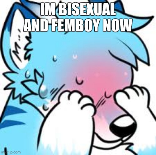 e | IM BISEXUAL AND FEMBOY NOW | image tagged in blushing furry embarrassed | made w/ Imgflip meme maker