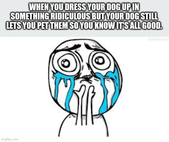 Crying Because Of Cute |  WHEN YOU DRESS YOUR DOG UP IN SOMETHING RIDICULOUS BUT YOUR DOG STILL LETS YOU PET THEM SO YOU KNOW IT'S ALL GOOD. | image tagged in memes,crying because of cute | made w/ Imgflip meme maker