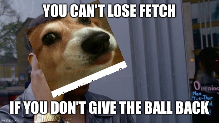 Roll Safe Think About It |  YOU CAN’T LOSE FETCH; IF YOU DON’T GIVE THE BALL BACK | image tagged in memes,roll safe think about it | made w/ Imgflip meme maker