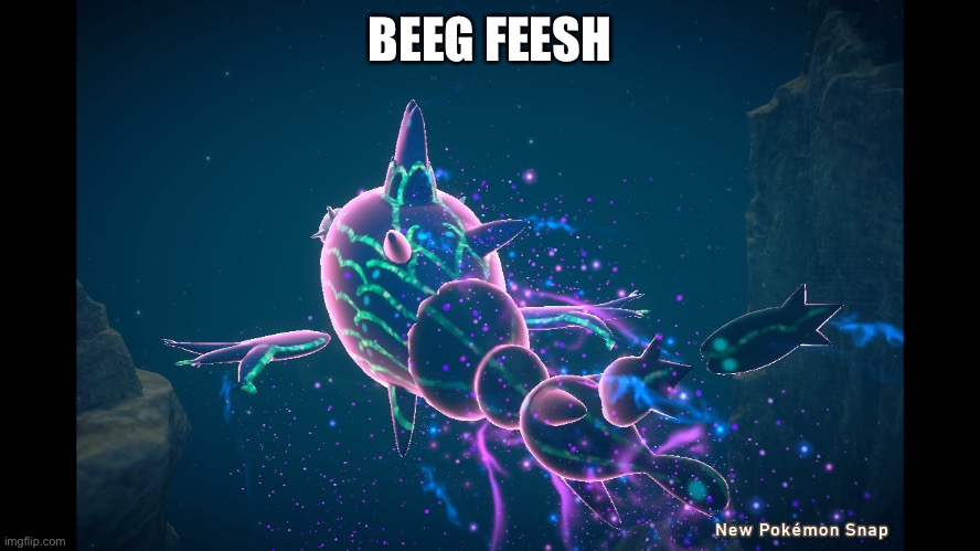 Beeg Feesh | BEEG FEESH | image tagged in beeg feesh | made w/ Imgflip meme maker