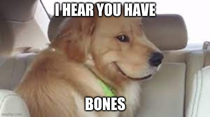 Evil Dog | I HEAR YOU HAVE; BONES | image tagged in evil dog,funny,viral meme,dog,evil | made w/ Imgflip meme maker