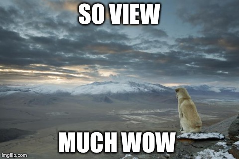 SO VIEW MUCH WOW | image tagged in AdviceAnimals | made w/ Imgflip meme maker
