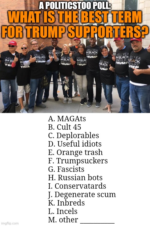 Marks | A POLITICSTOO POLL:; WHAT IS THE BEST TERM
FOR TRUMP SUPPORTERS? A. MAGAts
B. Cult 45
C. Deplorables 
D. Useful idiots
E. Orange trash
F. Trumpsuckers
G. Fascists
H. Russian bots
I. Conservatards
J. Degenerate scum
K. Inbreds
L. Incels
M. other __________ | image tagged in polls,trump supporters,you just insulted my entire race of people | made w/ Imgflip meme maker