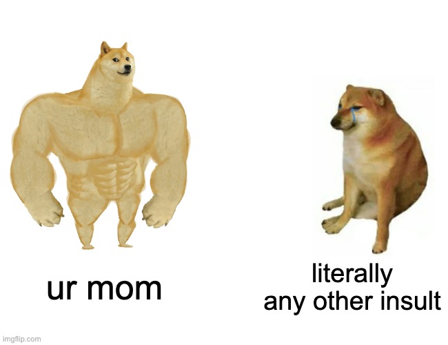 Buff Doge vs. Cheems | ur mom; literally any other insult | image tagged in memes,buff doge vs cheems | made w/ Imgflip meme maker