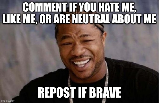 Yo Dawg Heard You Meme | COMMENT IF YOU HATE ME, LIKE ME, OR ARE NEUTRAL ABOUT ME; REPOST IF BRAVE | image tagged in memes,yo dawg heard you | made w/ Imgflip meme maker