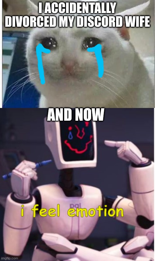I'm depressed now | I ACCIDENTALLY DIVORCED MY DISCORD WIFE; AND NOW | image tagged in crying cat,i feel emotion | made w/ Imgflip meme maker