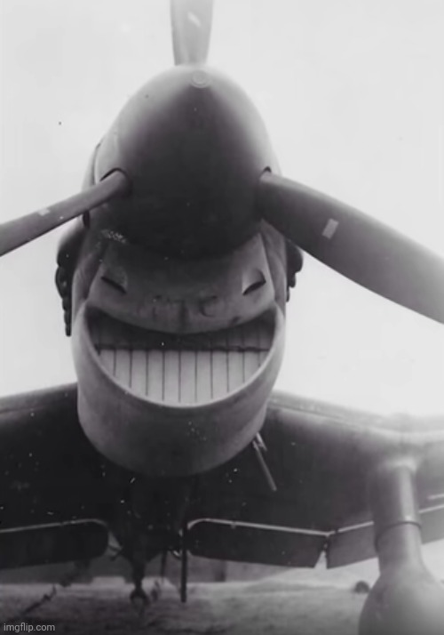 plane smiling | image tagged in plane smiling | made w/ Imgflip meme maker