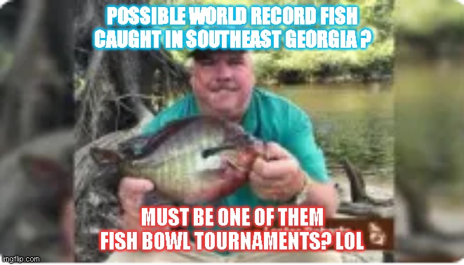 Fish Bowl Tournament | POSSIBLE WORLD RECORD FISH CAUGHT IN SOUTHEAST GEORGIA ? MUST BE ONE OF THEM FISH BOWL TOURNAMENTS? LOL | image tagged in fishing for upvotes | made w/ Imgflip meme maker