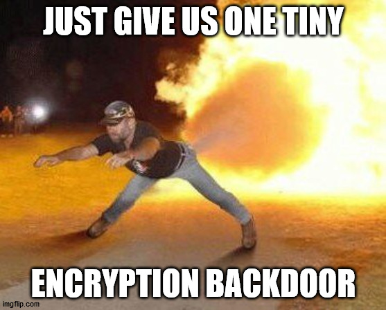 What could possibly go wrong? | JUST GIVE US ONE TINY; ENCRYPTION BACKDOOR | image tagged in taco bell strikes again | made w/ Imgflip meme maker