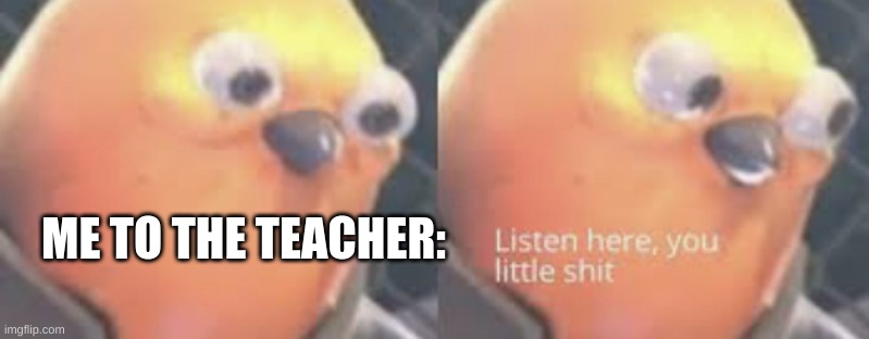 Listen here you little shit bird | ME TO THE TEACHER: | image tagged in listen here you little shit bird | made w/ Imgflip meme maker