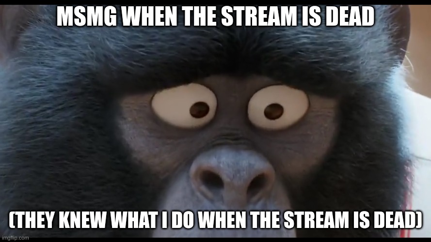 MSMG WHEN THE STREAM IS DEAD; (THEY KNEW WHAT I DO WHEN THE STREAM IS DEAD) | image tagged in sing 2 johnny stare | made w/ Imgflip meme maker