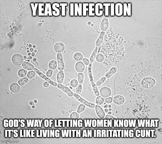 Yeast Infection | YEAST INFECTION; GOD'S WAY OF LETTING WOMEN KNOW WHAT IT'S LIKE LIVING WITH AN IRRITATING CUNT. | image tagged in adult humor,dirty joke,dirty meme week | made w/ Imgflip meme maker