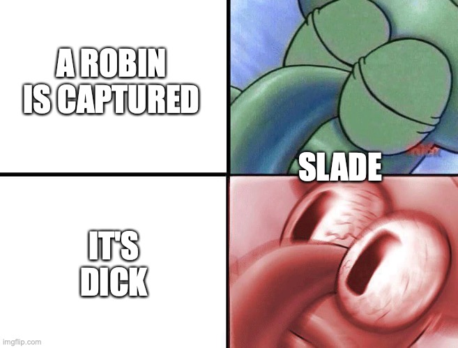 sleeping Squidward | A ROBIN IS CAPTURED; SLADE; IT'S DICK | image tagged in sleeping squidward | made w/ Imgflip meme maker