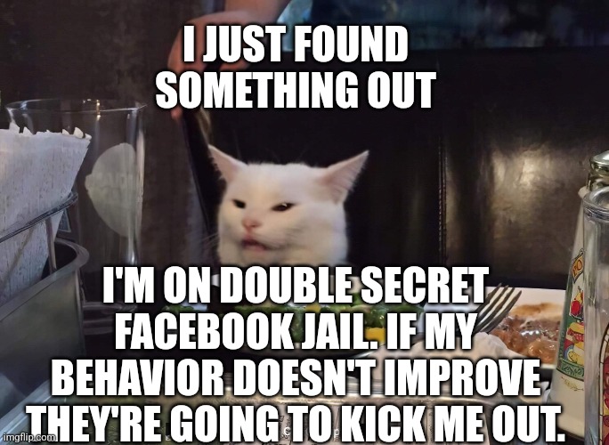 I JUST FOUND SOMETHING OUT; I'M ON DOUBLE SECRET FACEBOOK JAIL. IF MY BEHAVIOR DOESN'T IMPROVE THEY'RE GOING TO KICK ME OUT. | image tagged in smudge the cat,funny memes | made w/ Imgflip meme maker