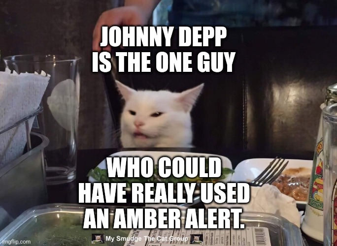 JOHNNY DEPP IS THE ONE GUY; WHO COULD HAVE REALLY USED AN AMBER ALERT. | image tagged in smudge the cat,funny memes | made w/ Imgflip meme maker