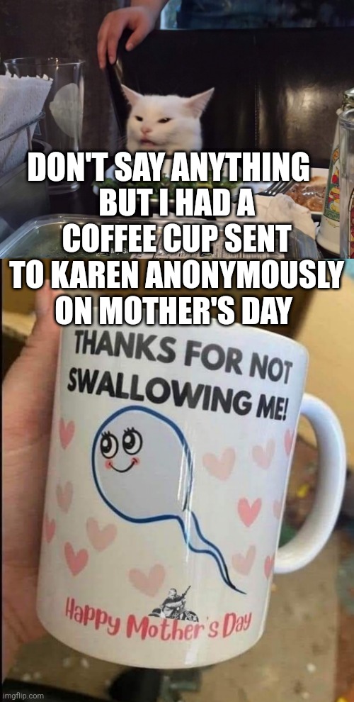 BUT I HAD A COFFEE CUP SENT TO KAREN ANONYMOUSLY ON MOTHER'S DAY; DON'T SAY ANYTHING | image tagged in smudge the cat,funny memes | made w/ Imgflip meme maker