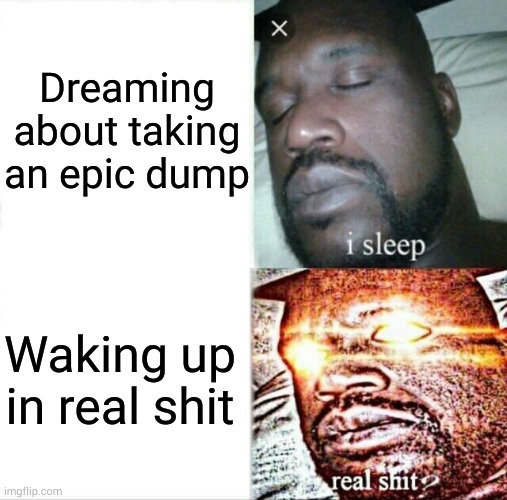 I dreamt about banging your sister and woke up with HPV | Dreaming about taking an epic dump; Waking up in real shit | image tagged in memes,sleeping shaq | made w/ Imgflip meme maker