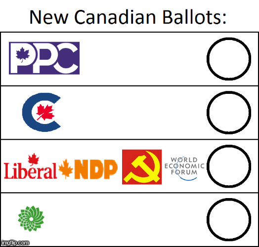 Meanwhile in Canada | image tagged in voting,canada | made w/ Imgflip meme maker