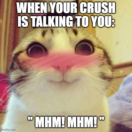 True tho | image tagged in so true | made w/ Imgflip meme maker