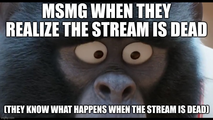MSMG WHEN THEY REALIZE THE STREAM IS DEAD; (THEY KNOW WHAT HAPPENS WHEN THE STREAM IS DEAD) | image tagged in sing 2 johnny stare | made w/ Imgflip meme maker