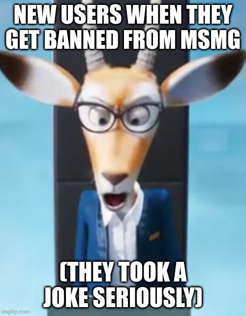 NEW USERS WHEN THEY GET BANNED FROM MSMG; (THEY TOOK A JOKE SERIOUSLY) | image tagged in sing 2 computer rage | made w/ Imgflip meme maker