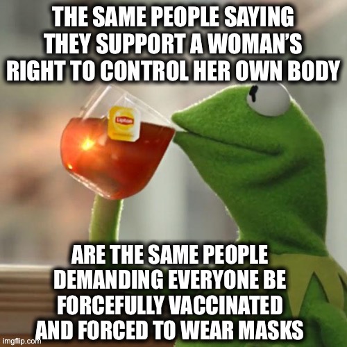 But that’s none of my business | image tagged in liberal logic,liberal hypocrisy,democrats,pandemic,memes,pro choice | made w/ Imgflip meme maker