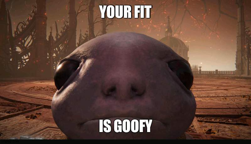 goofy ahh fit | YOUR FIT; IS GOOFY | image tagged in staring albinauric | made w/ Imgflip meme maker