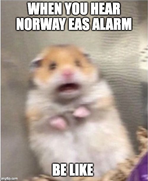 Scariest eas alarm in the world |  WHEN YOU HEAR NORWAY EAS ALARM; BE LIKE | image tagged in scared hamster | made w/ Imgflip meme maker