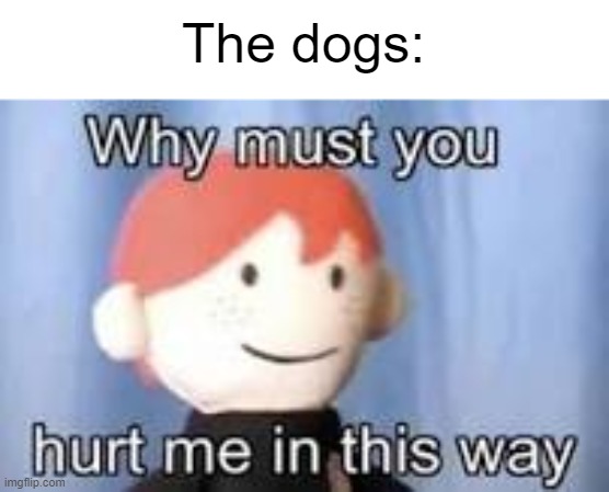 Why must you hurt me in this way | The dogs: | image tagged in why must you hurt me in this way | made w/ Imgflip meme maker