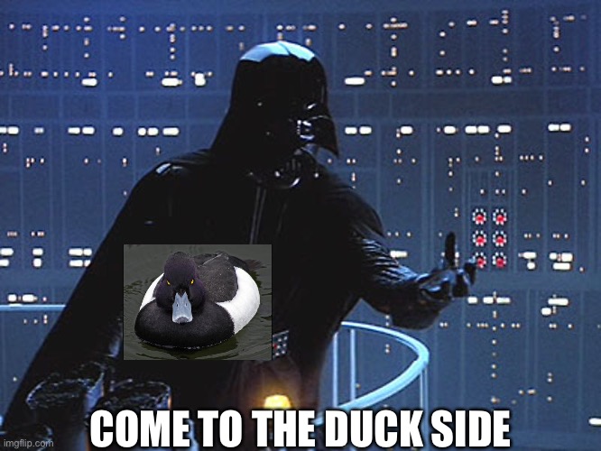 Duck Vader |  COME TO THE DUCK SIDE | image tagged in darth vader - come to the dark side,duck face chicks,dark side,dark | made w/ Imgflip meme maker