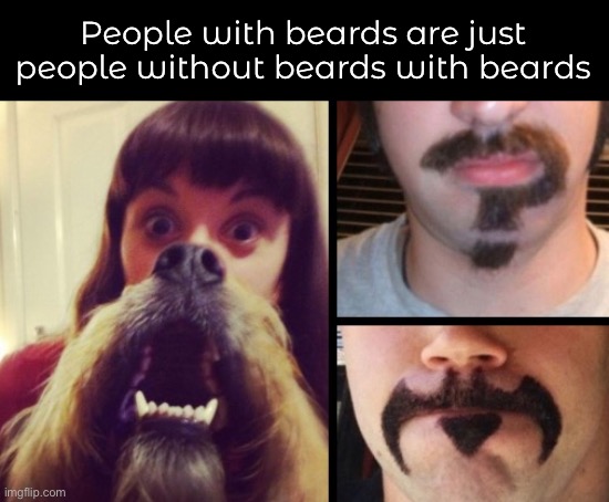 What? | People with beards are just people without beards with beards | image tagged in funny memes,beards | made w/ Imgflip meme maker