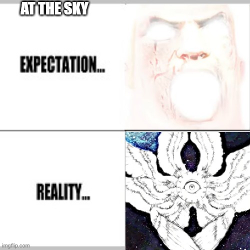 mr incredible becoming canny/uncanny reality vs expectation: at the skies |  AT THE SKY | image tagged in expectation vs reality | made w/ Imgflip meme maker