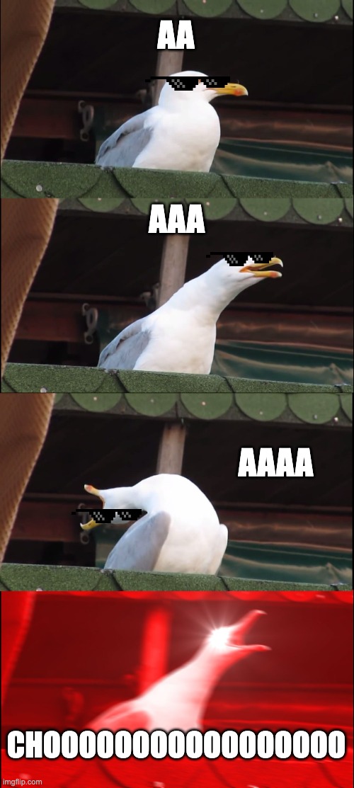 Inhaling Seagull Meme | AA; AAA; AAAA; CHOOOOOOOOOOOOOOOOO | image tagged in memes,inhaling seagull | made w/ Imgflip meme maker